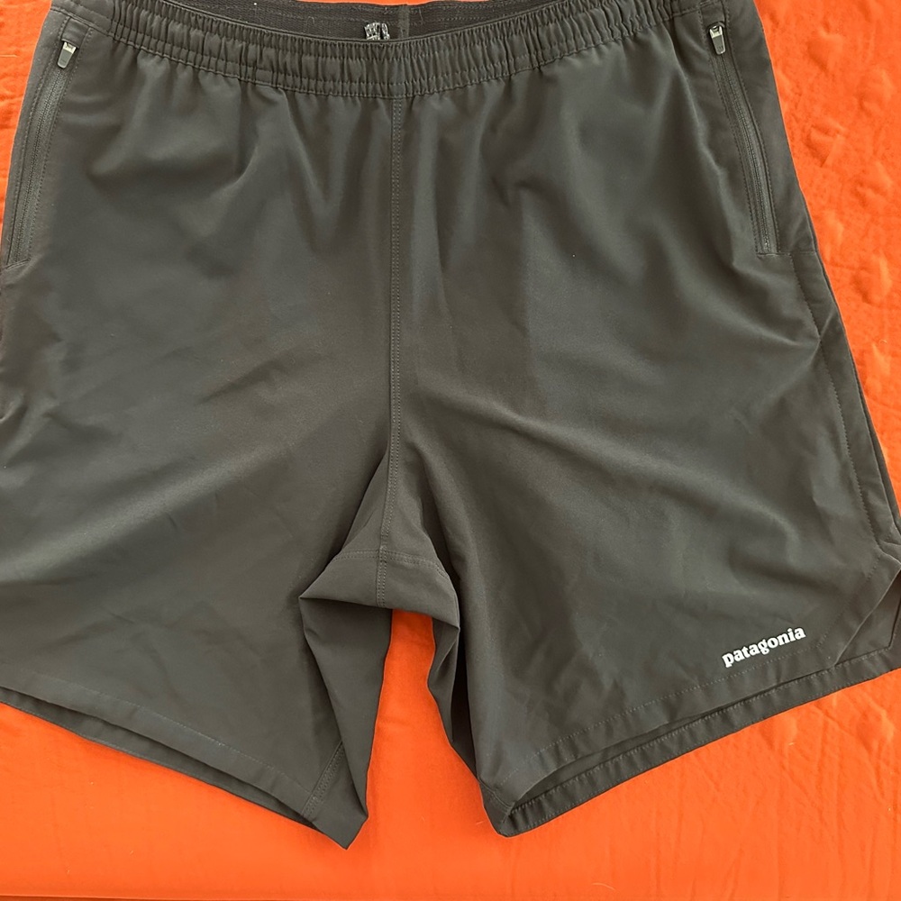 Patagonia Men's Black Shorts